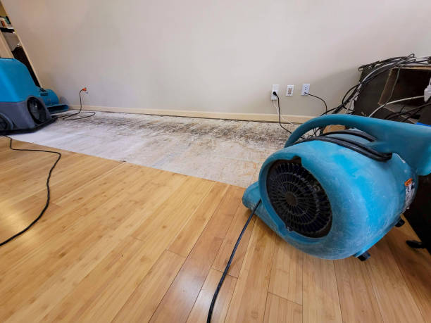 Professional Sewage Cleanup technician working in Columbia Station, OH
